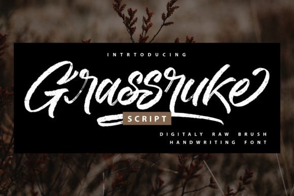 Grassruke: A Bold Brush Script Font for Modern Branding Projects