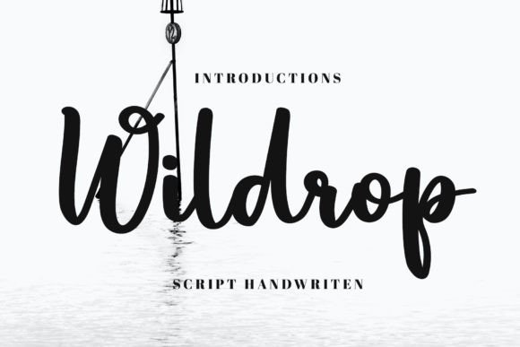 Wildrop: Elevating Digital Marketing with Modern Handwritten Typography